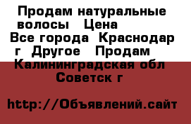 Продам натуральные волосы › Цена ­ 3 000 - Все города, Краснодар г. Другое » Продам   . Калининградская обл.,Советск г.